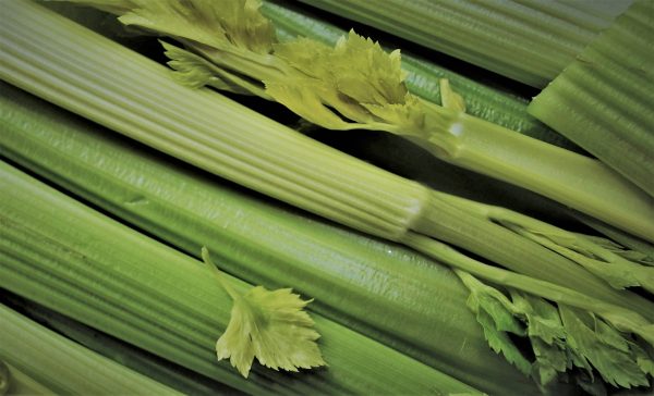 Celery organic
