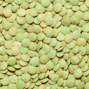 Lentils green